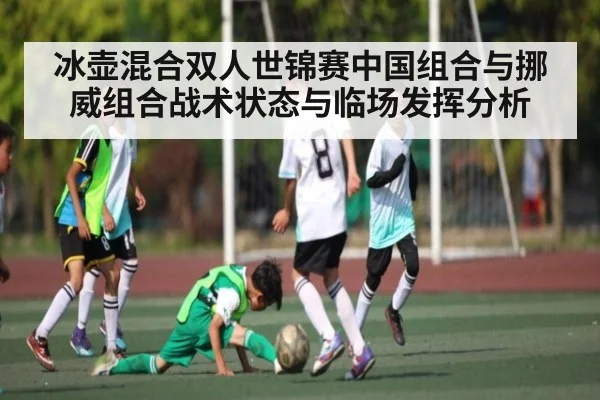 冰壶混合双人世锦赛中国组合与挪威组合战术状态与临场发挥分析
